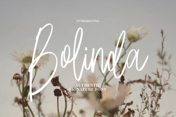 Bolinda Review: A Script Font Ready for Real Brand Work