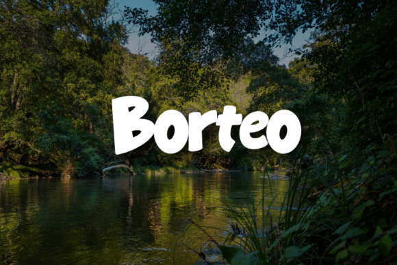 Borteo: The Versatile Script Amp Font for Polished Brand Identity